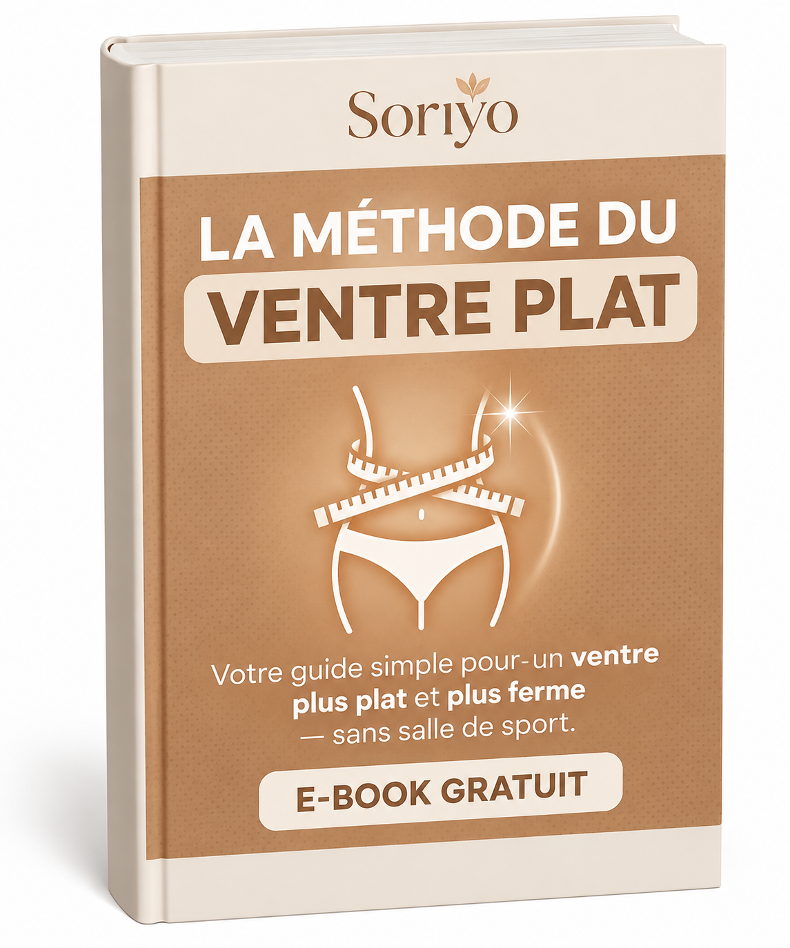 E-book : La méthode ventre plat